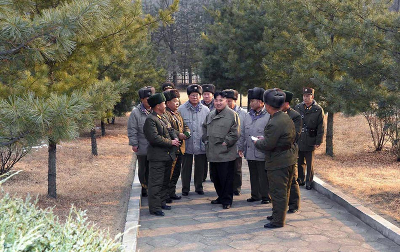 Illustration for article titled North Korea's New Dictator...Looking at Things